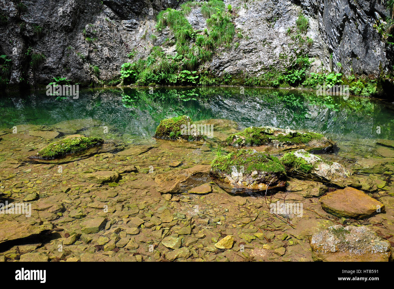 Profondo sottosuolo molla da una grotta. Foto Stock