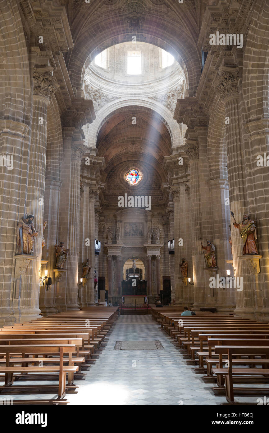 Vista lungo la navata interno della Cattedrale di San Salvador, Jerez de la Frontera, la provincia di Cadiz Cadice, Andalusia, Spagna, Europa Foto Stock