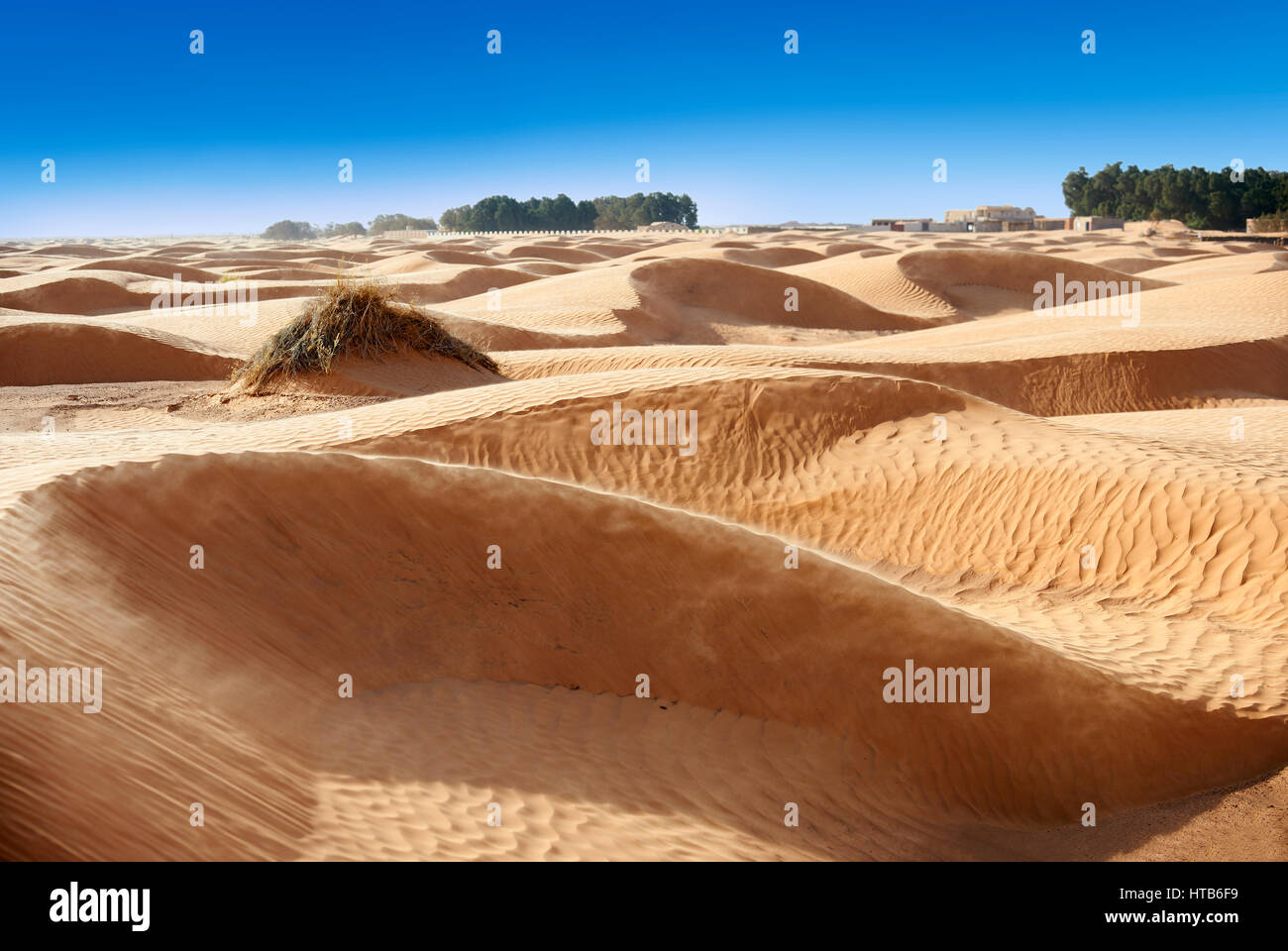 Il deserto del Sahara dune di sabbia di Erg Orientale nei pressi dell'oasi di Ksar Ghilane, Tunisia, Africa Foto Stock
