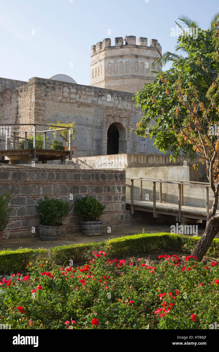 Le pareti e la torre di Alcazar di Jerez a Jerez de la Frontera, la provincia di Cadiz Cadice, Andalusia, Spagna, Europa Foto Stock