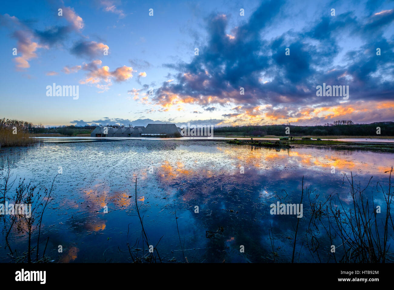 Brockholes Riserva Naturale, Preston Foto Stock