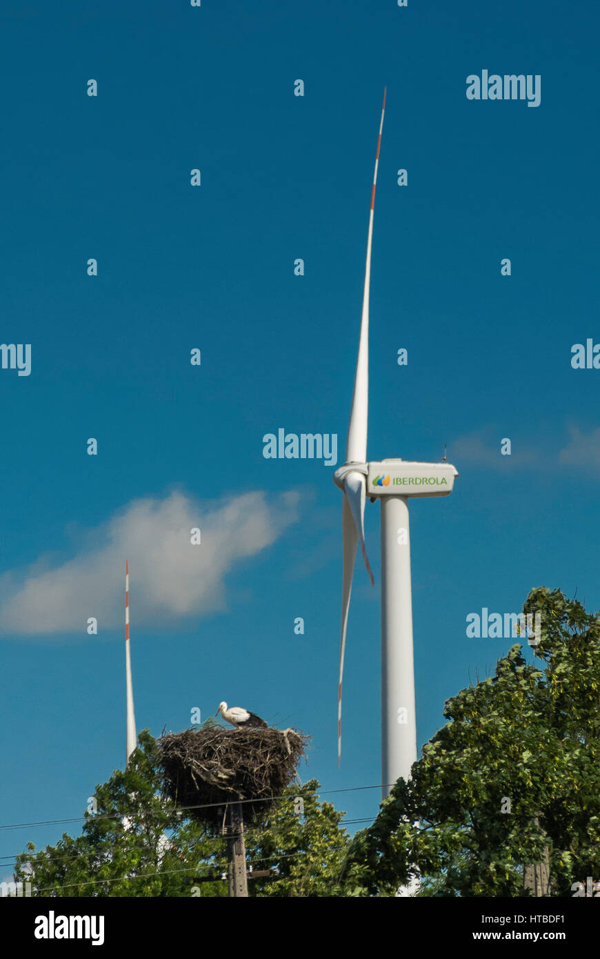 Nido di cicogna e turbine eoliche nel villaggio di Koniecwald vicino a Sztum, Pomerania, Polonia Foto Stock