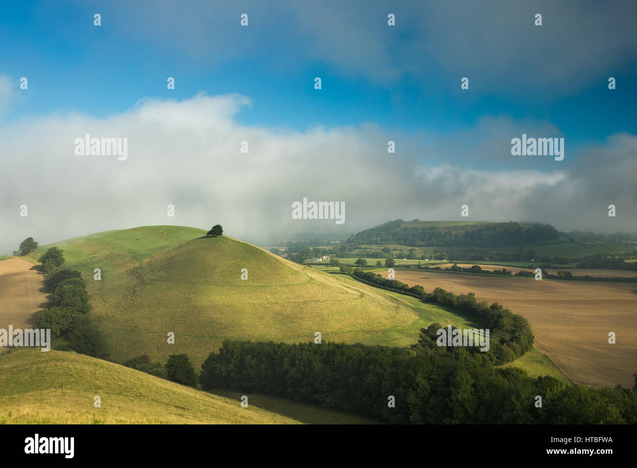 Una nebbiosa mattina sul Corton Denham Beacon guardando verso il Castello di Cadbury, Somerset, Inghilterra, Regno Unito Foto Stock Una nebbiosa mattina sul Corton Denham Beacon guardando verso il Castello di Cadbury, Somerset, Inghilterra, Regno Unito Foto Stock