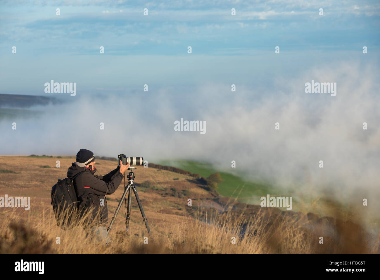 Il workshop di gruppo nebbia di ripresa in Bagley Combe all'alba, Stoke Pero comune, Parco Nazionale di Exmoor, Somerset, Inghilterra, Regno Unito Foto Stock Il workshop di gruppo nebbia di ripresa in Bagley Combe all'alba, Stoke Pero comune, Parco Nazionale di Exmoor, Somerset, Inghilterra, Regno Unito Foto Stock
