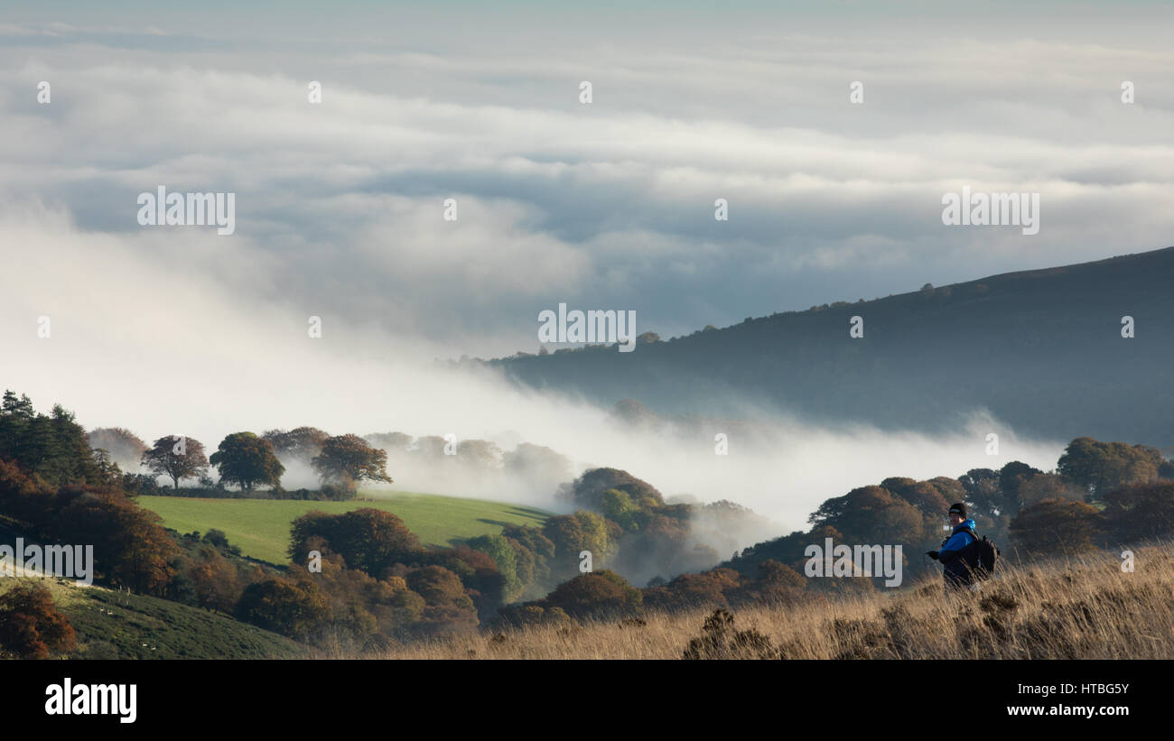 Il workshop di gruppo nebbia di ripresa in Bagley Combe all'alba, Stoke Pero comune, Parco Nazionale di Exmoor, Somerset, Inghilterra, Regno Unito Foto Stock Il workshop di gruppo nebbia di ripresa in Bagley Combe all'alba, Stoke Pero comune, Parco Nazionale di Exmoor, Somerset, Inghilterra, Regno Unito Foto Stock