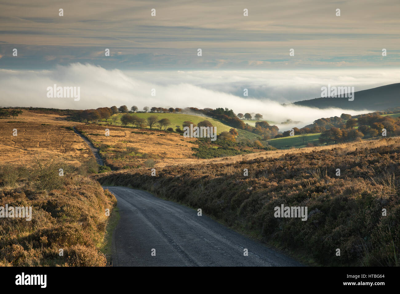 La nebbia in Bagley Combe all'alba, Stoke Pero comune, Parco Nazionale di Exmoor, Somerset, Inghilterra, Regno Unito Foto Stock La nebbia in Bagley Combe all'alba, Stoke Pero comune, Parco Nazionale di Exmoor, Somerset, Inghilterra, Regno Unito Foto Stock