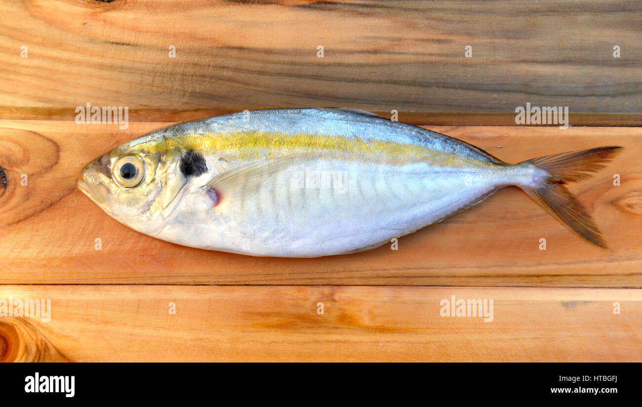 Fresh striscia gialla Pesce di carangidi su legno alla luce diretta del  sole Foto stock - Alamy