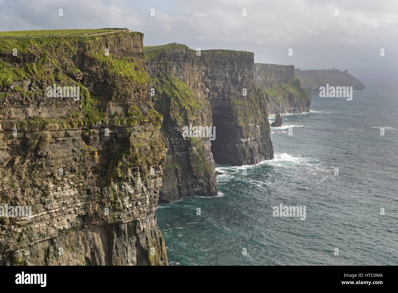 Scogliere di Moher, County Clare, Irlanda, Europa Foto Stock