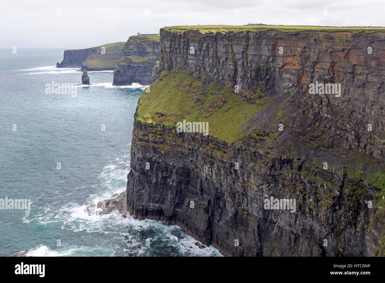 Scogliere di Moher, County Clare, Irlanda, Europa Foto Stock