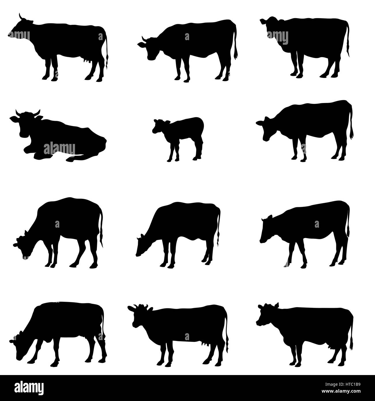 Set di vacca. bestiame silhouette. animale da azienda collezione di segno. Illustrazione Vettoriale