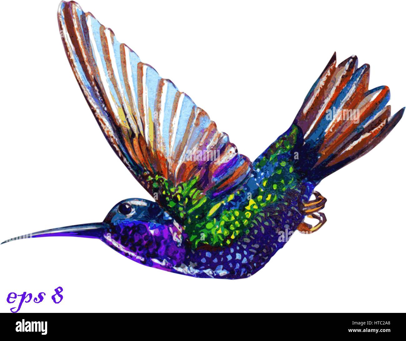 Acquerello fatti a mano illustrazione dei battenti golden-tailed sapphire colibri. Bellissimi colori di esotico Sud Americana hummingbird. Illustrazione Vettoriale