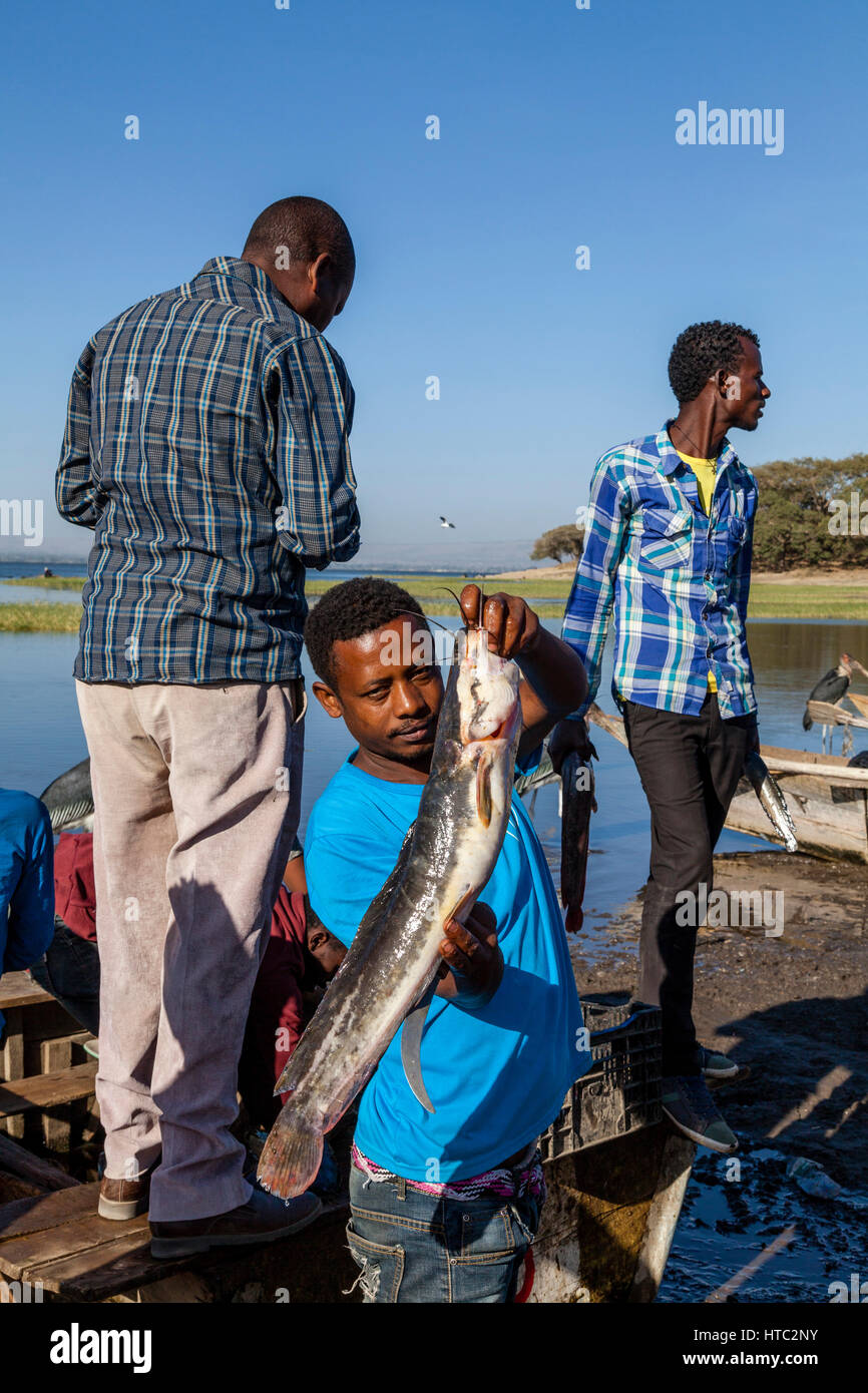 I pescatori locali vendono le loro catture da parte le loro barche al mercato del pesce sulle rive del lago Awassa, Etiopia Foto Stock