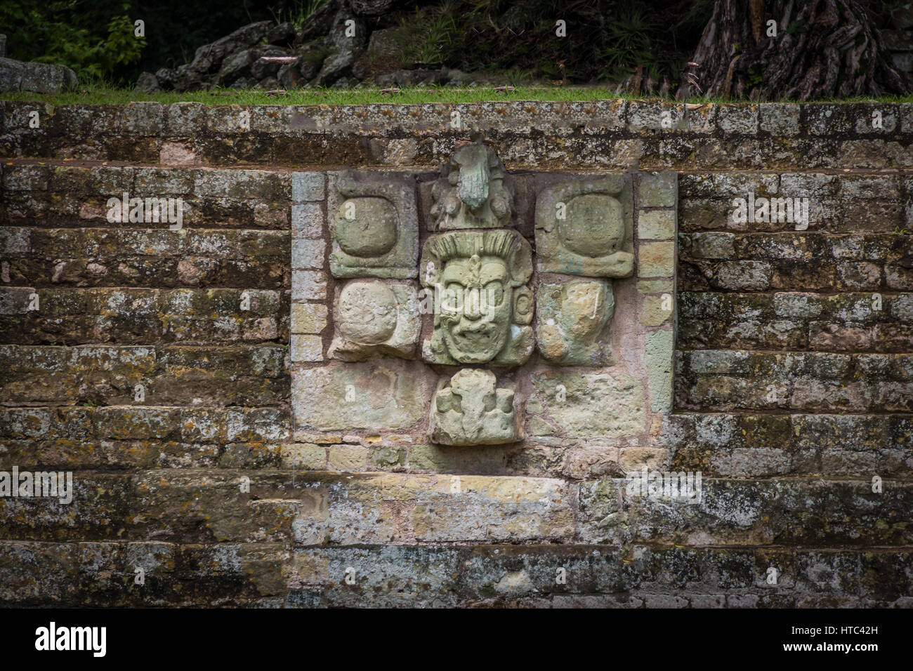 Dettagli scolpiti a rovine Maya - Copan sito archeologico, Honduras Foto Stock