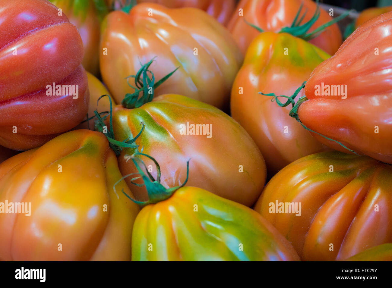 Molti pomodori Foto Stock