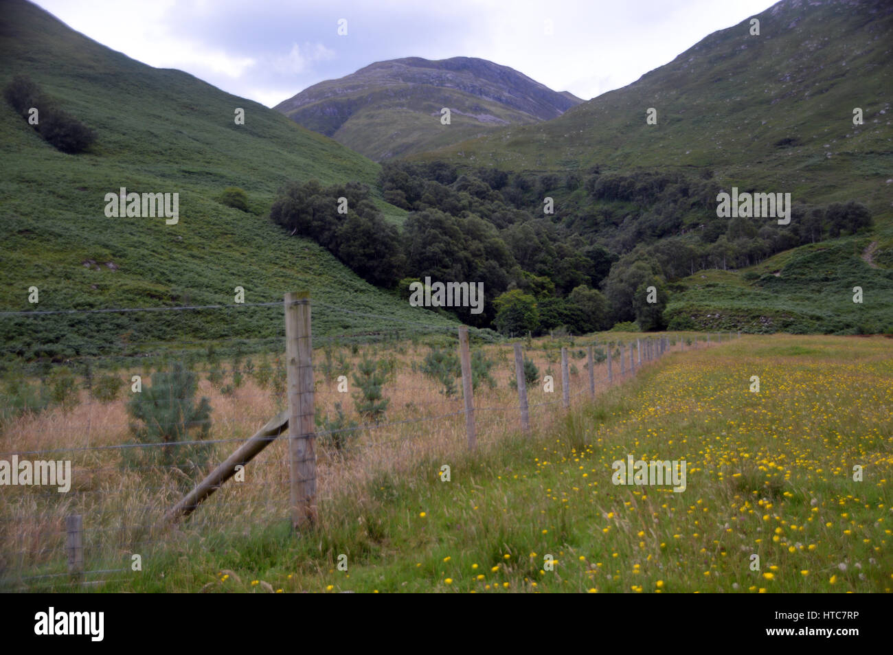 Un recinto che conduce a Achad un' Ghlinne Bothy in Glen Arnisdale con la montagna scozzese Corbett Beinn nan Caorach in background, Foto Stock