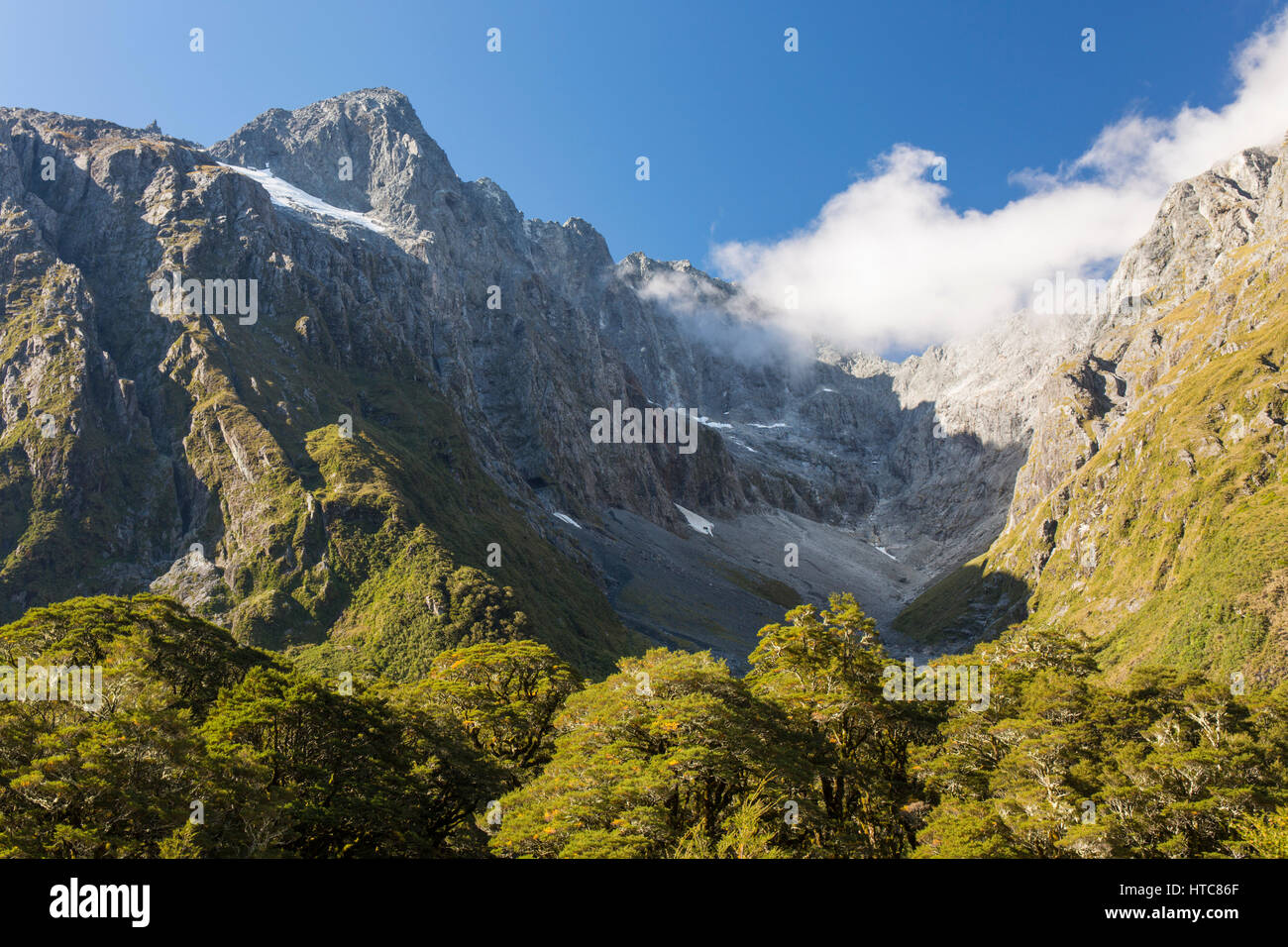 Parco Nazionale di Fiordland, Southland, Nuova Zelanda. Pendii ripidi valle glaciale sotto il monte trasversale nel cuore delle montagne Darran. Foto Stock