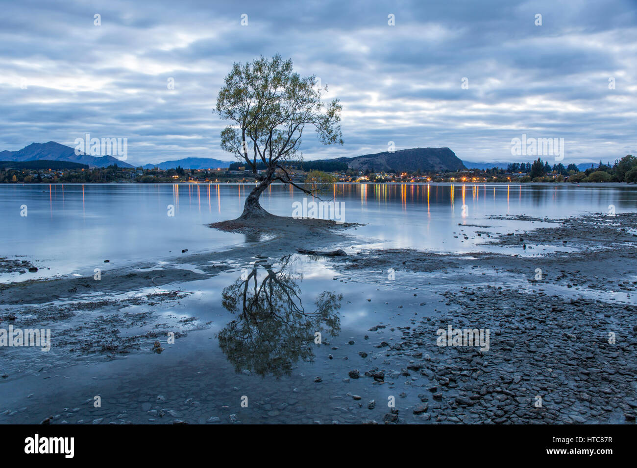 Wanaka, Otago, Nuova Zelanda. Vista su tutta la baia Roys all'alba, iconico willow tree riflessa in acqua ancora sulla riva del Lago Wanaka. Foto Stock