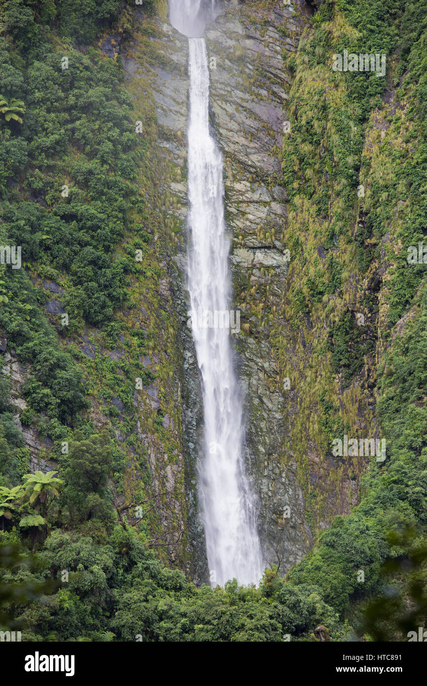 Hollyford Valley, il Parco Nazionale di Fiordland, Southland, Nuova Zelanda. Humboldt cade rigonfiato dalla pioggia pesante. Foto Stock