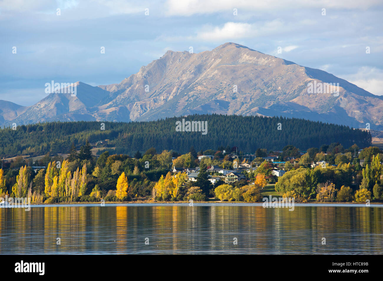 Wanaka, Otago, Nuova Zelanda. Vista su tutta la baia Roys, sera, golden fogliame di autunno si riflette nelle acque cristalline del Lago Wanaka. Foto Stock