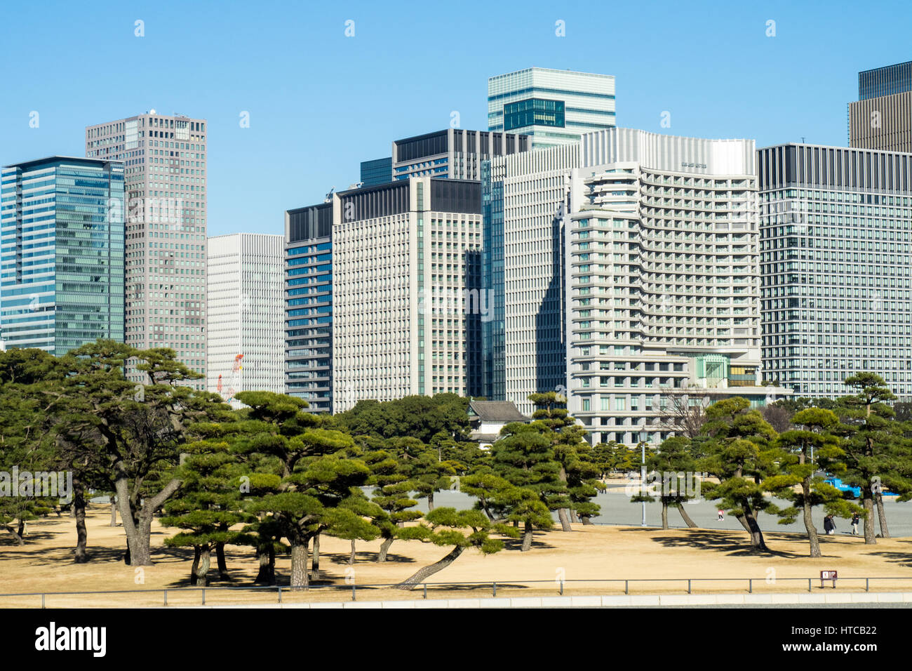 Tokyo central business district edifici per uffici visto da Kokyogaien Giardini Nazionali, Chiyoda. Foto Stock