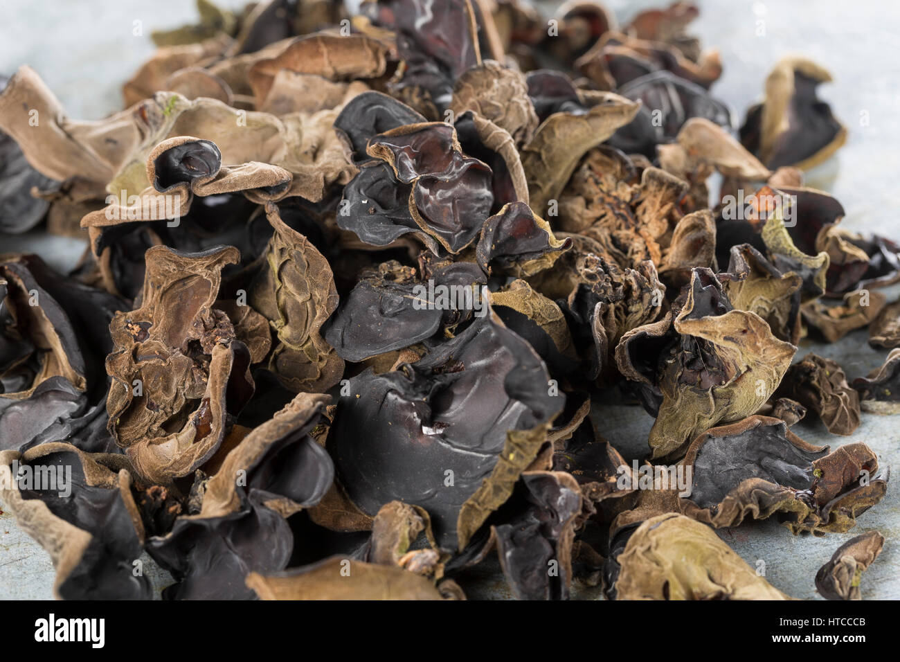 Judasohr, Judasohren getrocknet, getrocknete Pilze, Trockenpilz, Trockenpilze, Dörrpilze, Dörrpilz, Ohrlappenpilz, Holunderschwamm, Judas-Ohr, Ohrlapp Foto Stock