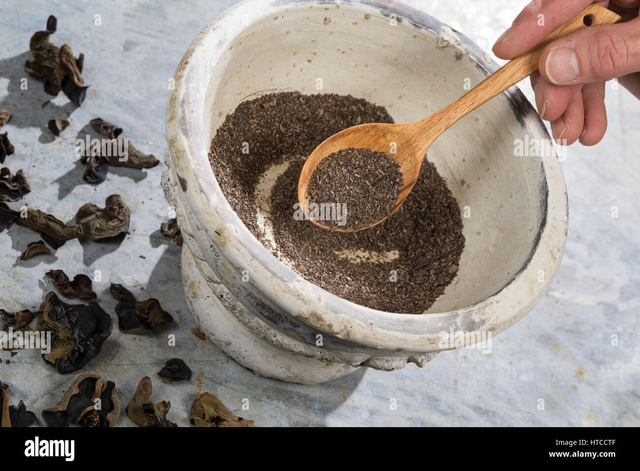 Judasohr, Judasohren getrocknet, getrocknete Pilze werden zermahlen, Pilzpulver, Trockenpilz, Trockenpilze, Dörrpilze, Dörrpilz, Ohrlappenpilz, Holund Foto Stock