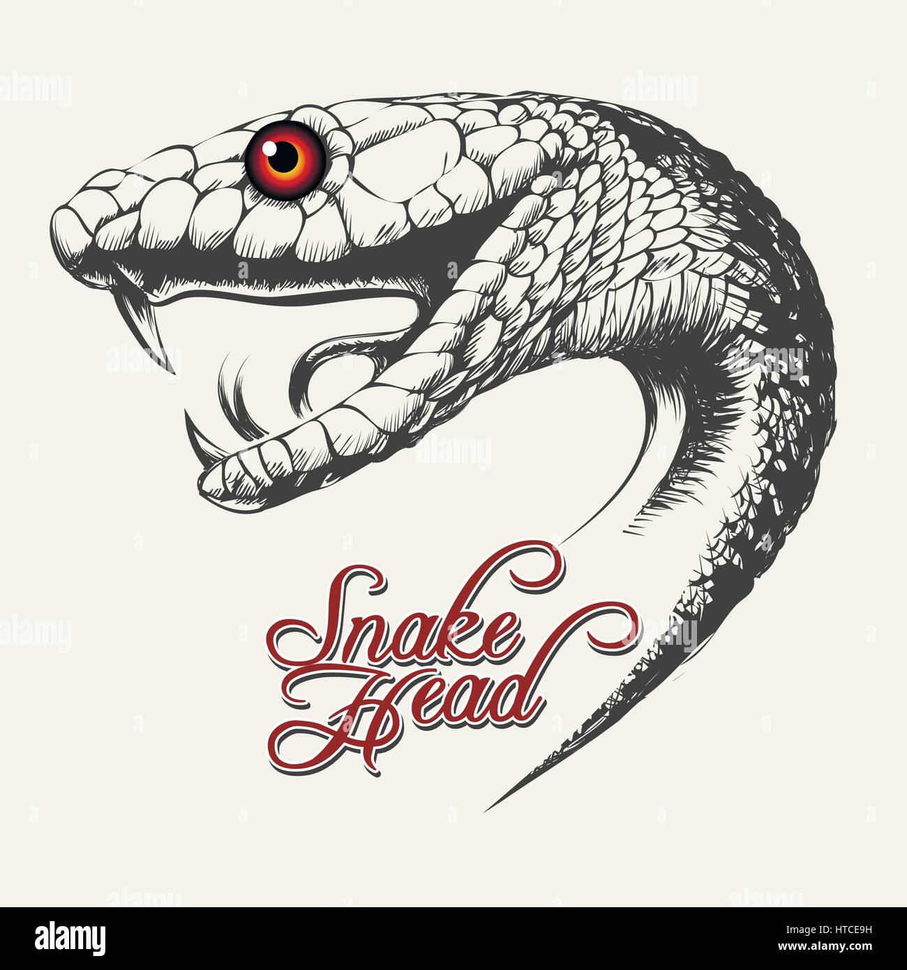 Handdrawn testa di serpente in stile tatuaggio. Illustrazione Vettoriale. Illustrazione Vettoriale