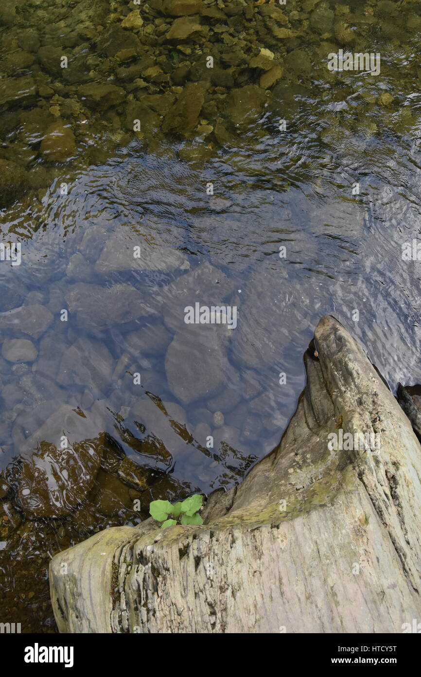 Il River rock con acqua tranquilla increspature Foto Stock