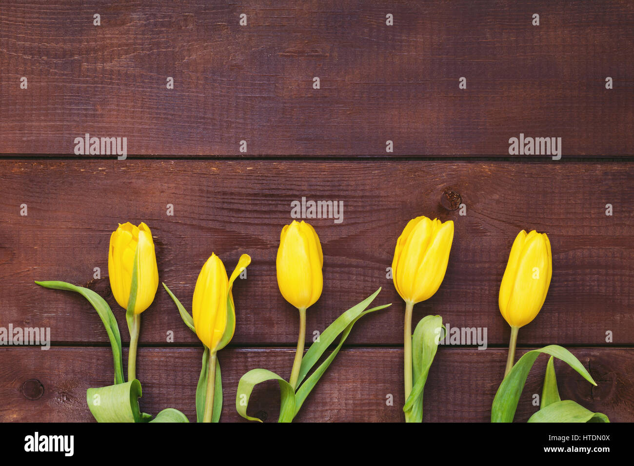 Floral background: tulipani gialli su uno sfondo di legno con copia spazio. La festa della mamma, womens giorno, concetto di Pasqua Foto Stock