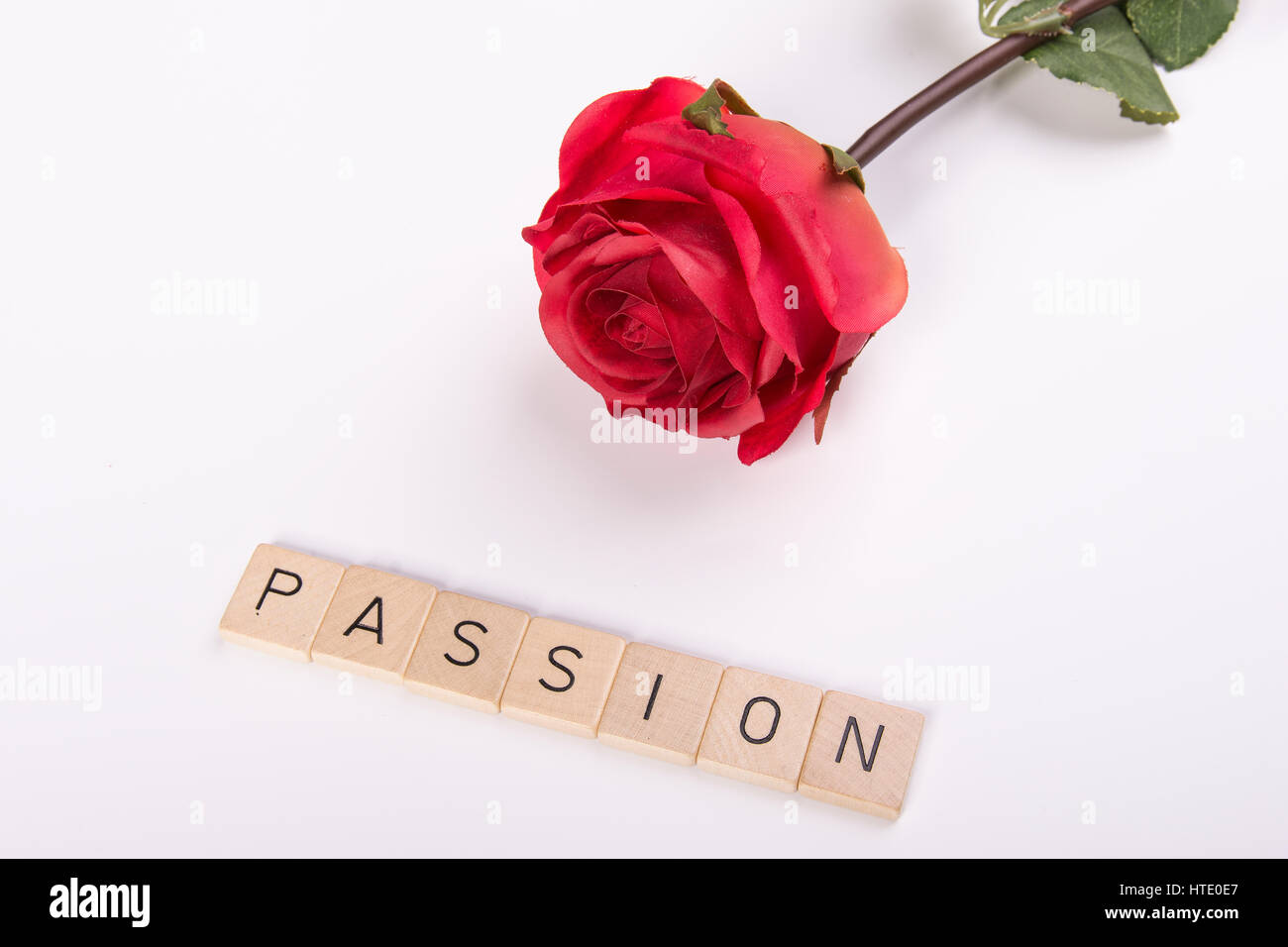 Una rosa rossa con la parola 'passione' Foto Stock