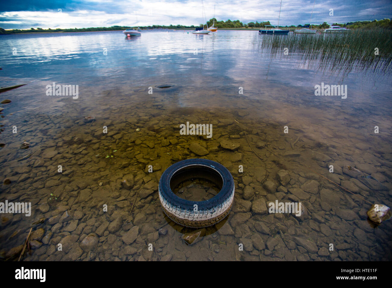 Una gomma di pneumatici vettura siede sui fondali del lago rosso, contea Westmeath Foto Stock