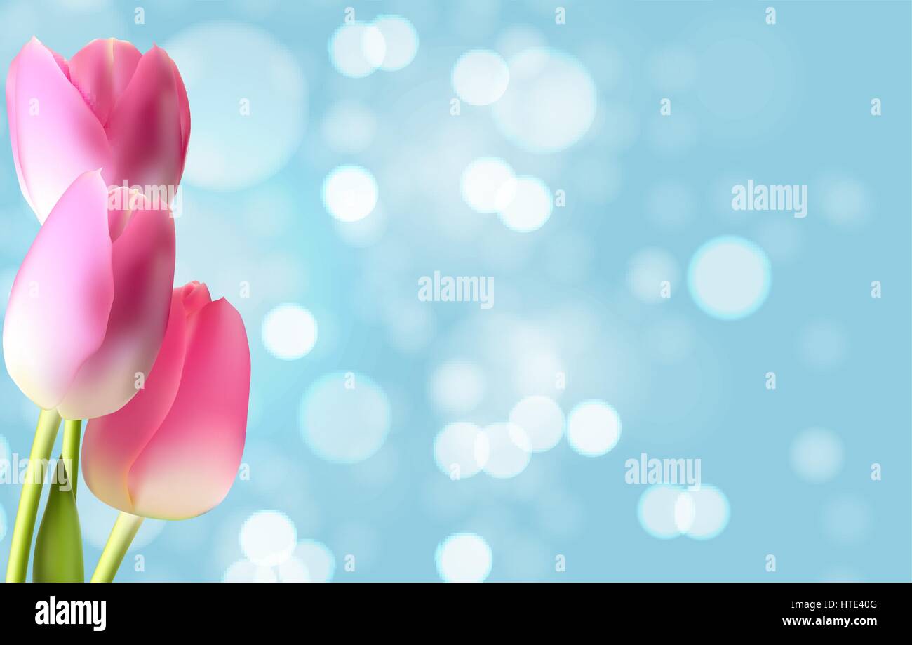 La primavera e l'estate fiore sfondo naturale. Illustrazione Vettoriale Illustrazione Vettoriale