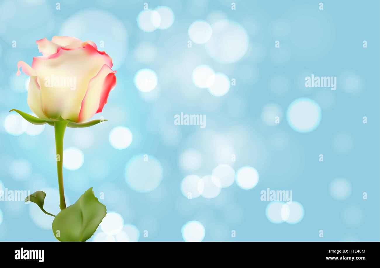 La primavera e l'estate fiore sfondo naturale. Illustrazione Vettoriale Illustrazione Vettoriale