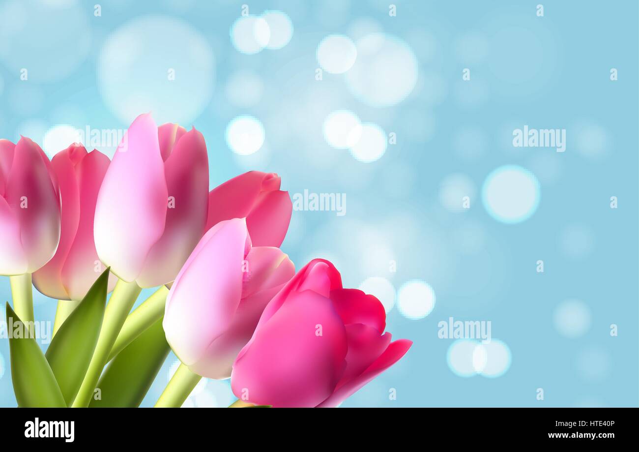 La primavera e l'estate fiore sfondo naturale. Illustrazione Vettoriale Illustrazione Vettoriale