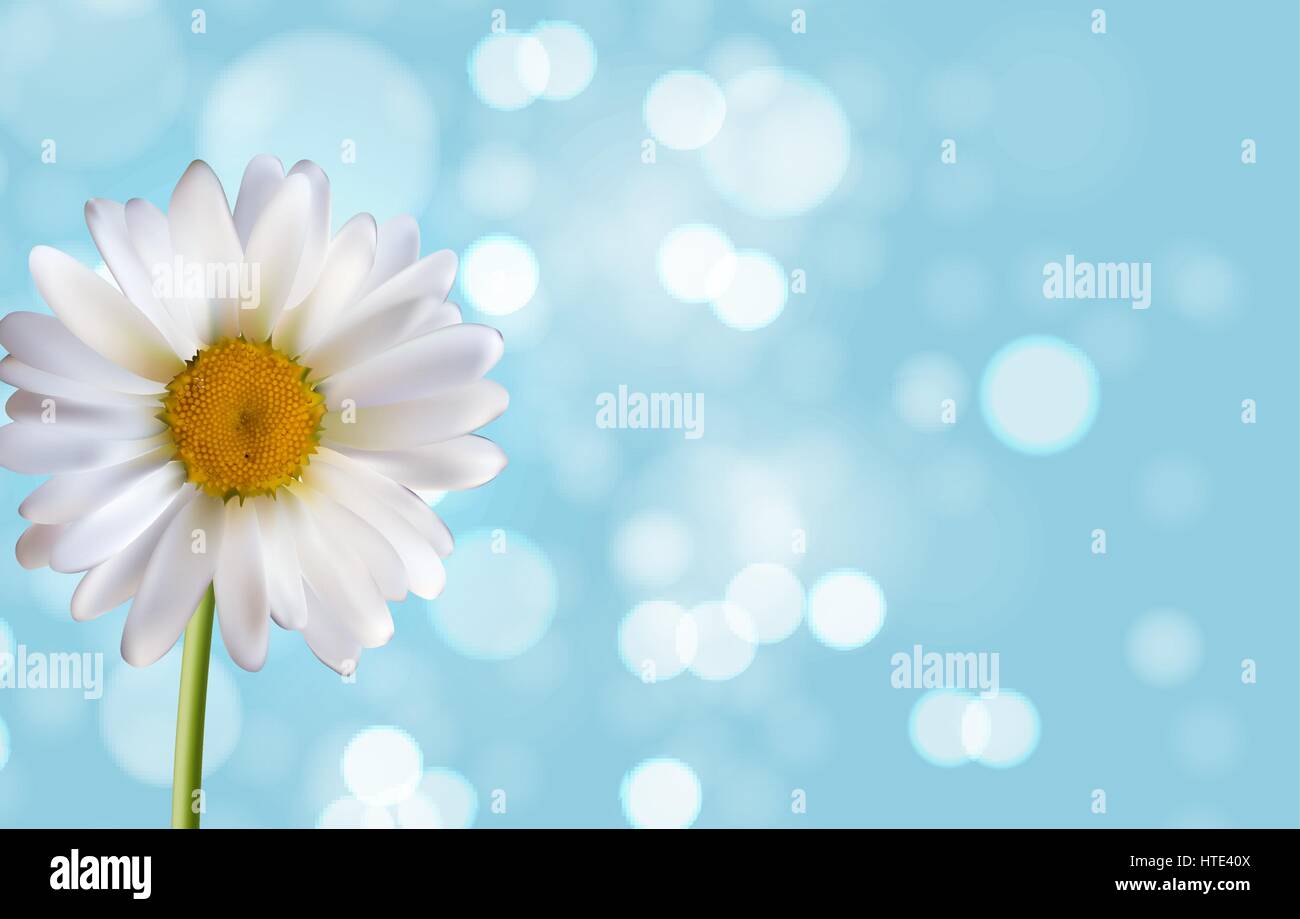 La primavera e l'estate fiore sfondo naturale. Illustrazione Vettoriale Illustrazione Vettoriale