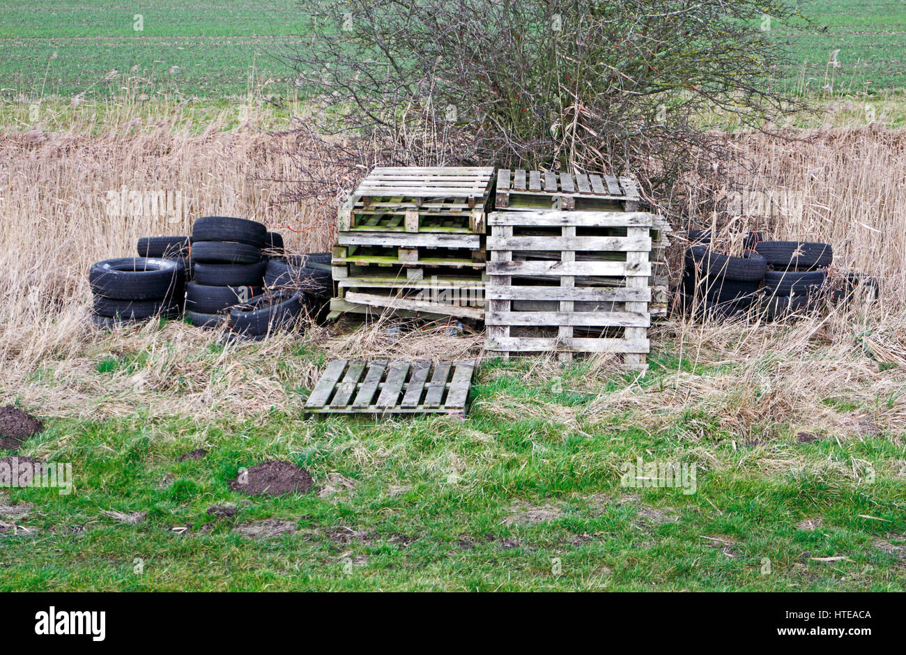 Una vista di vecchi pallet in legno e pneumatici in gomma da terreni agricoli sulla Norfolk Broads a Runham, Norfolk, Inghilterra, Regno Unito. Foto Stock
