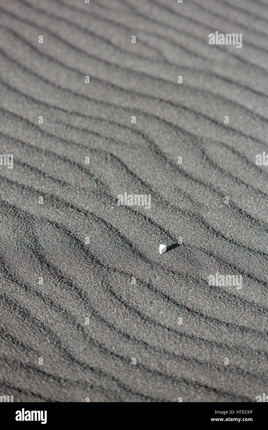 Un po' di rock che stabilisce in un arido paesaggio di sabbia nera vulcanica che è sagomata dal vento in patterns in Islanda, l'Europa. Foto Stock