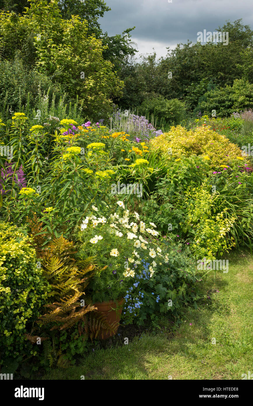 Fiore coloratissimo frontiere in un cottage in stile giardino. Piantando mescolato di arbusti e piante perenni in piena crescita, metà luglio. Foto Stock