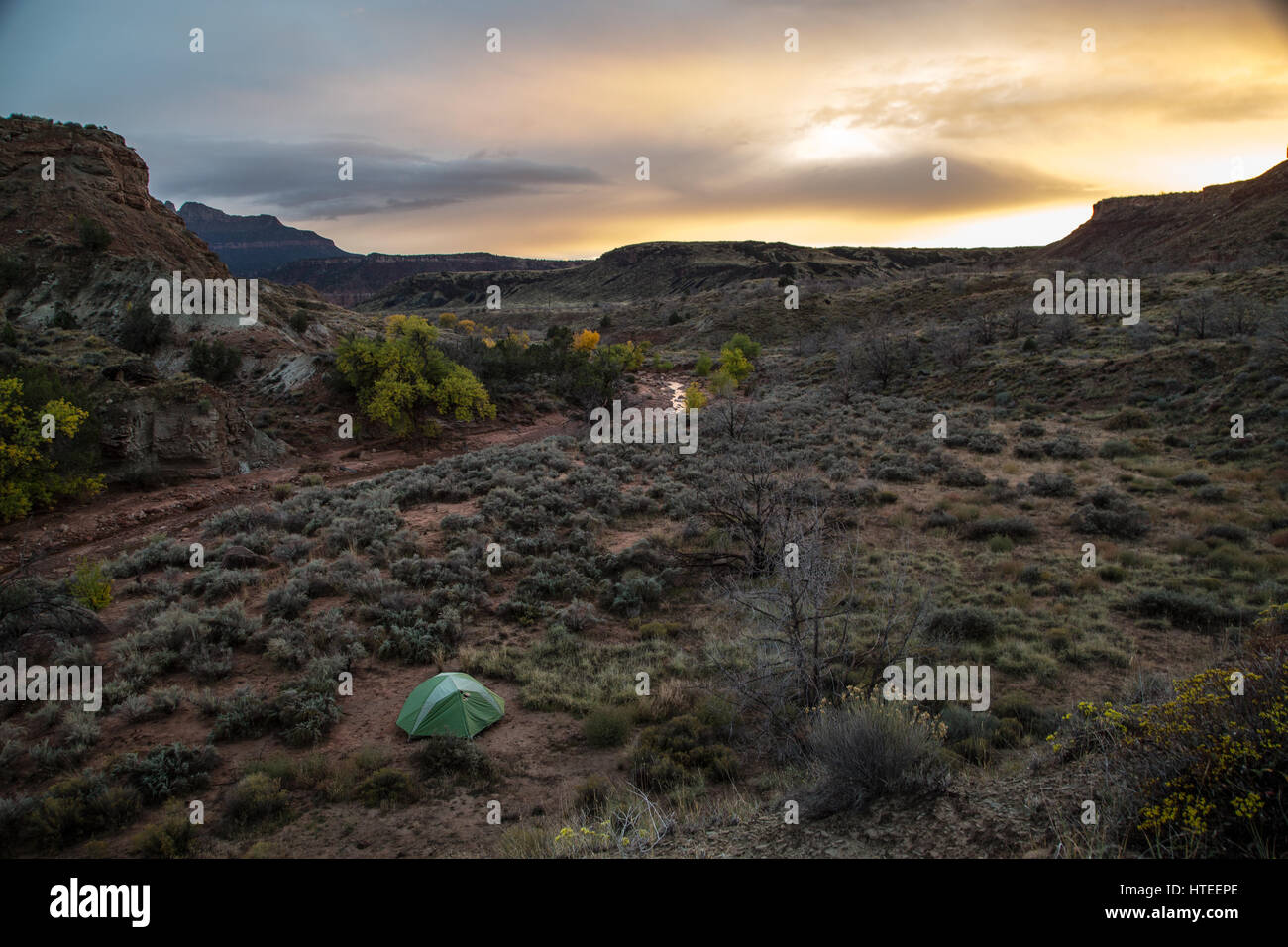 Campeggio nel Parco Nazionale di Zion il deserto Foto Stock