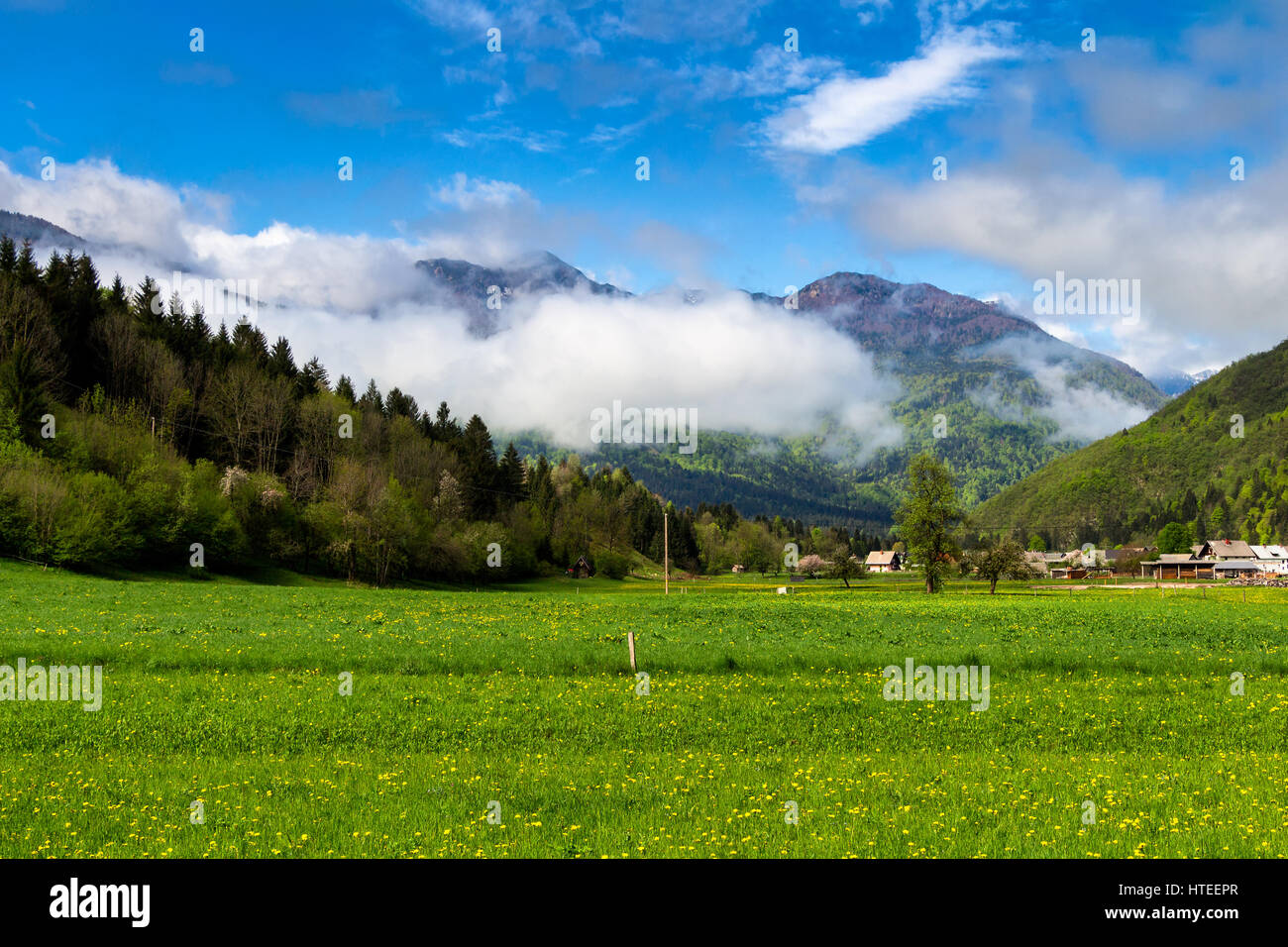 Prato con le montagne sullo sfondo Foto Stock