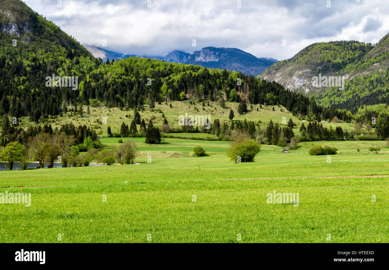 Prato con le montagne sullo sfondo Foto Stock