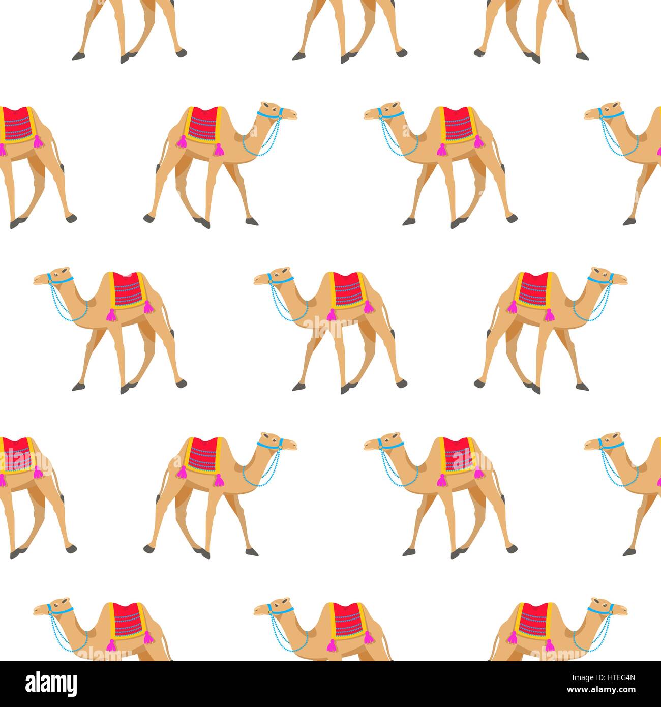 Camel cartoon vector seamless pattern sul bianco. Illustrazione Vettoriale