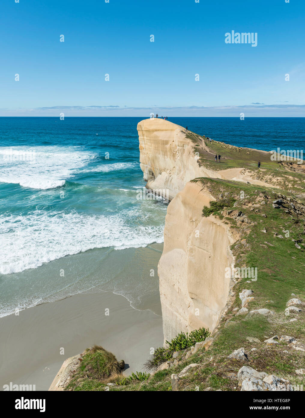 Scogliera e Spiaggia di tunnel, Dunedin, Regione di Otago e Southland, Nuova Zelanda Foto Stock