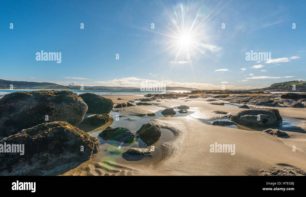 Spiaggia, focena Bay, Catlins, Regione del Southland, Southland, Nuova Zelanda Foto Stock
