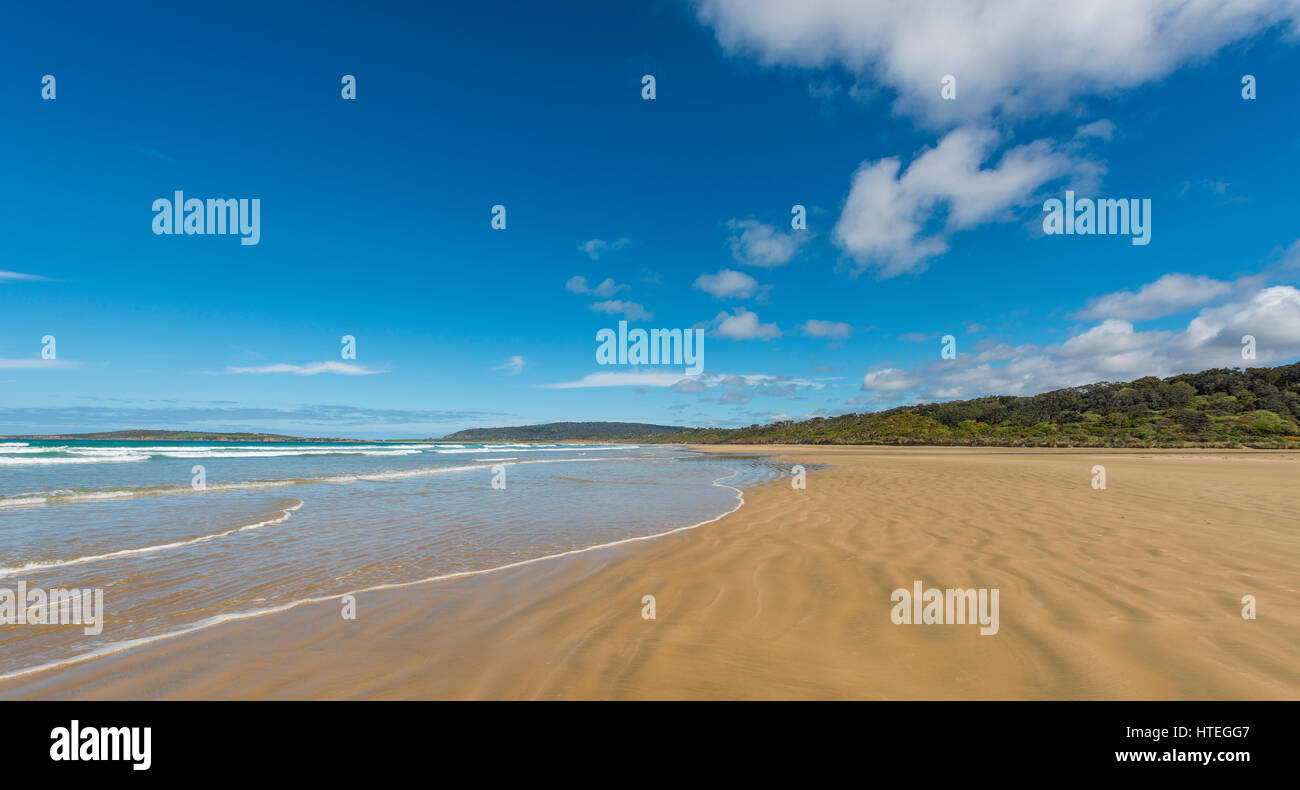 Spiaggia sabbiosa Tautuku Bay, il Catlins, Regione del Southland, Southland, Nuova Zelanda Foto Stock