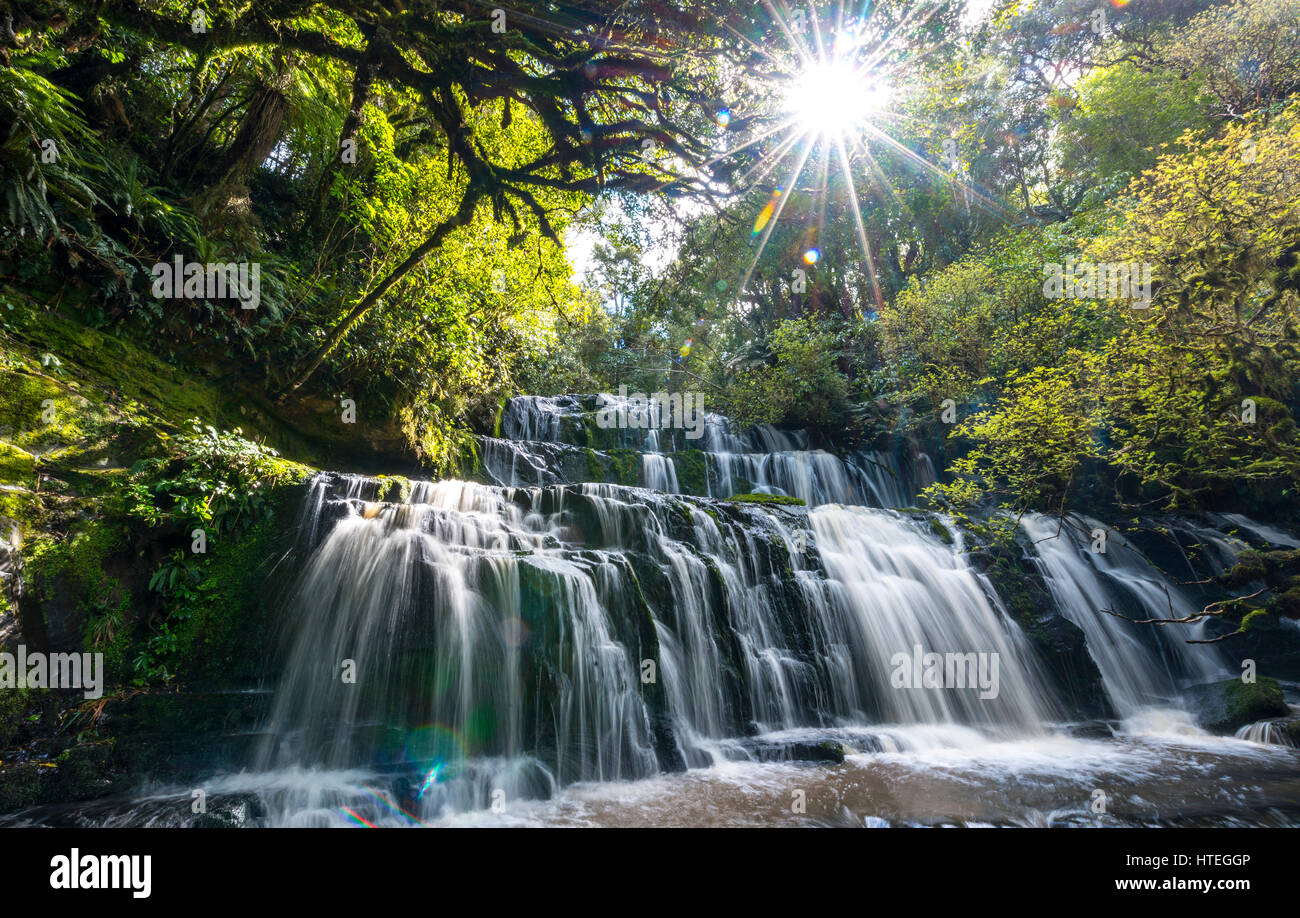 Purakaunui Falls, cascata, Sun Star, il Catlins,, Otago Southland, Nuova Zelanda Foto Stock