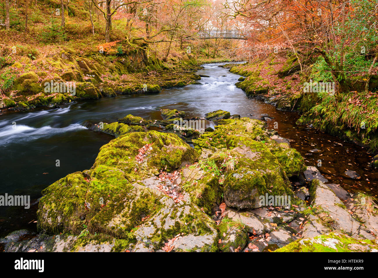 Fiume Brathay a Skelwith Bridge in autunno. Parco Nazionale del Distretto dei Laghi, Cumbria, Inghilterra. Foto Stock