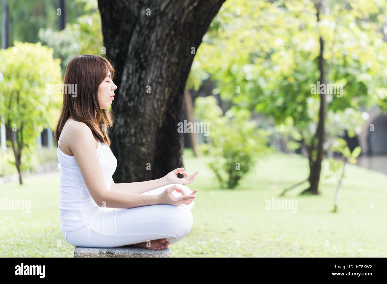 Donna asiatica a praticare yoga nel parco, mentalmente e spiritualmente sana, morbida luce del sole. Foto Stock