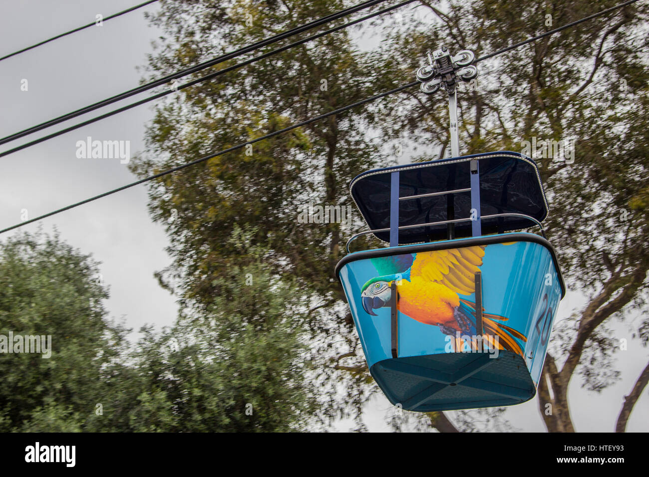 San Diego Zoo, uno dei luoghi più belli da visitare in California. Molti diversi tipi di animali che si possono incontrare in quel grande zoo. Foto Stock