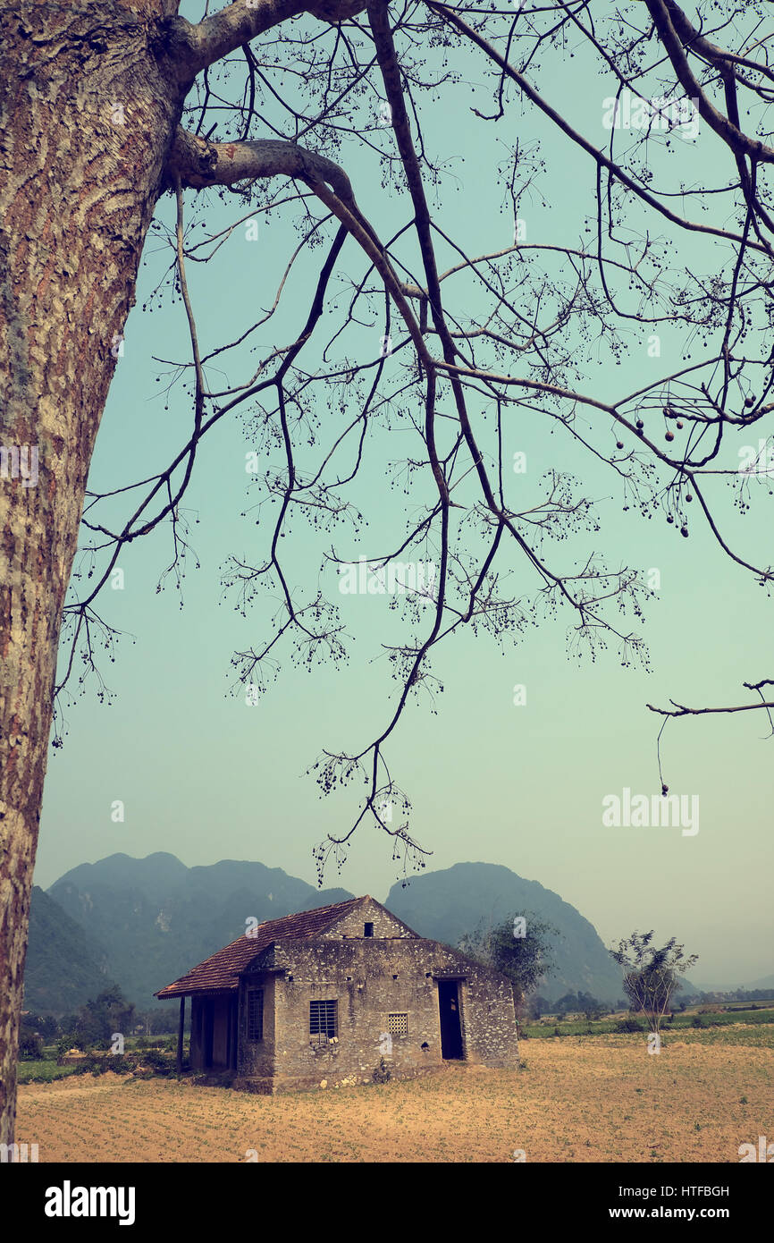 Scena spettacolare di Quang Binh campagna,Vietnam. Abbandonato casa di pietra sotto il grande albero di neem in estate, un luogo per scoprire tour Foto Stock